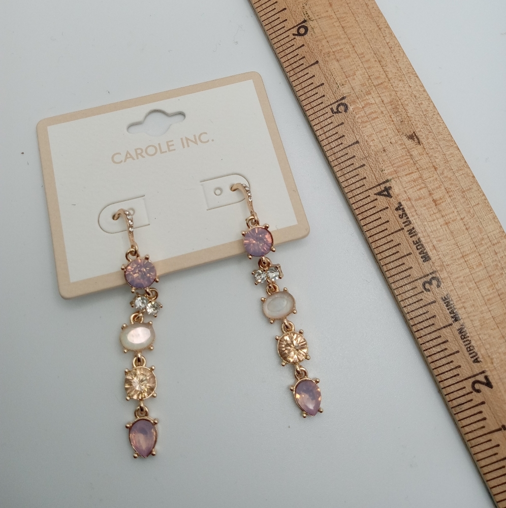 CAROLE INC